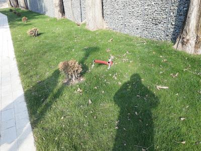 Прикрепленное изображение: каб.jpg